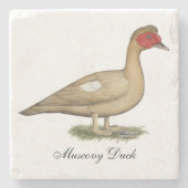 Muscovyライトチョコレートドレイク ストーンコースター (正面)