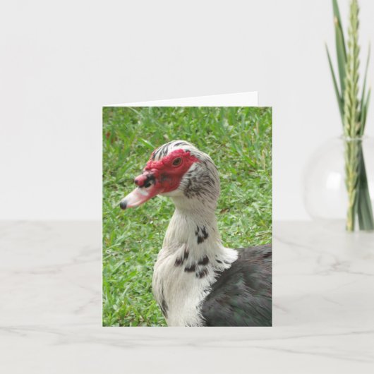 Muscovy Duck Photo Folded Note Card ノートカード (正面)