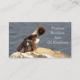 Muscovy Ducking - RAOKカード（名刺サイズ） 名刺