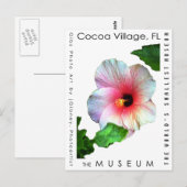 MUSEUMアーティストシリーズby jGibney Hibiscus1 ポストカード (正面/裏面)