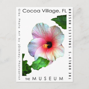 MUSEUMアーティストシリーズby jGibney Hibiscus1 ポストカード