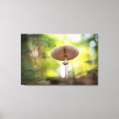 Mushroom Nature Photo キャンバスプリント (正面)
