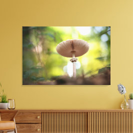 Mushroom Nature Photo キャンバスプリント