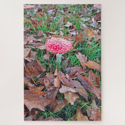 mushroom red with white dots ジグソーパズル (縦)