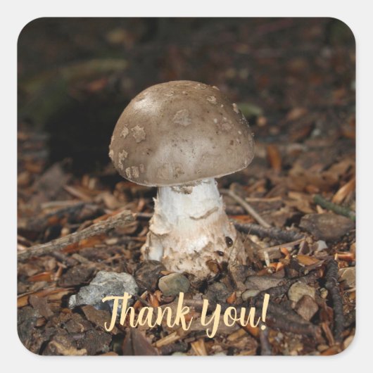 mushroom thank You スクエアシール (正面)