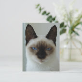 Mushuポストカードのメモリ ポストカード (スタンド正面)