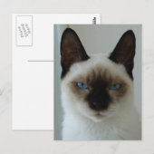 Mushuポストカードのメモリ ポストカード (正面/裏面)