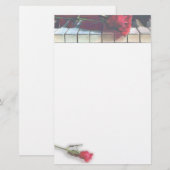 Musical1 便箋 (正面/裏面)