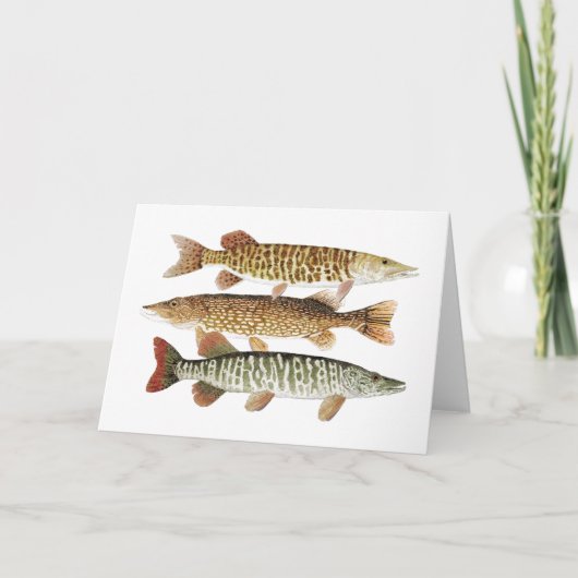 Muskie、パイク及びトラ カード (正面)