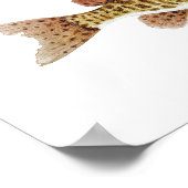 Muskie art poster ポスター (角)