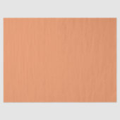 Muskmelon Peach Spring Summer Trending Color    薄葉紙 (正面)