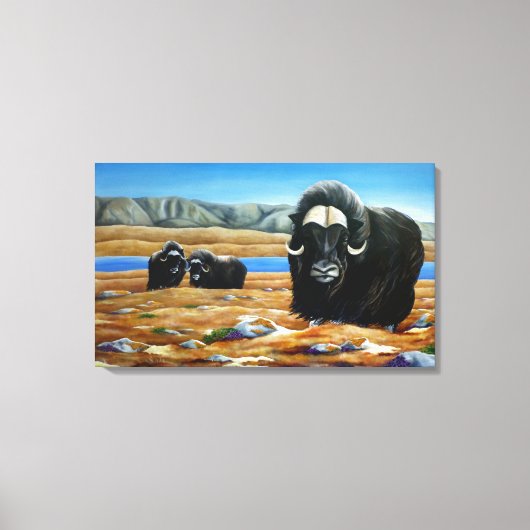 Muskoxの絵画カナダ野生生物キャンバス印刷 キャンバスプリント (正面)