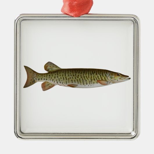 Musky (muskellunge) メタルオーナメント (正面)