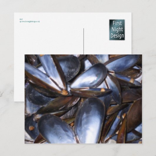 Musselシェルハガキ ポストカード (正面/裏面)