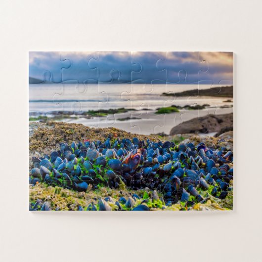 Mussels ジグソーパズル (横)