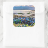 Mussels スクエアシール (バッグ)