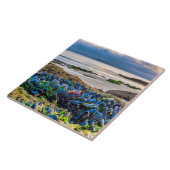 Mussels タイル (側面)