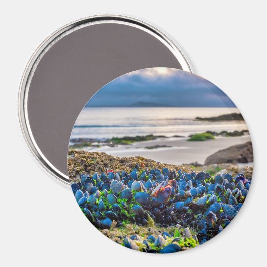 Mussels マグネット (正面/裏面)