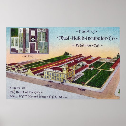 Must-Hatch Incubator Co Bldgの空中表示 ポスター (正面)