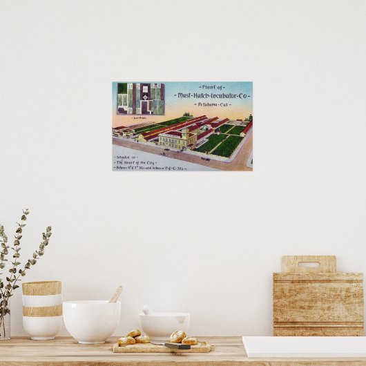 Must-Hatch Incubator Co Bldgの空中表示 ポスター (キッチン)