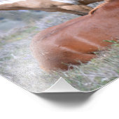 Mustangチャーム19インチx 13インチProフォト紙サテン フォトプリント (角)