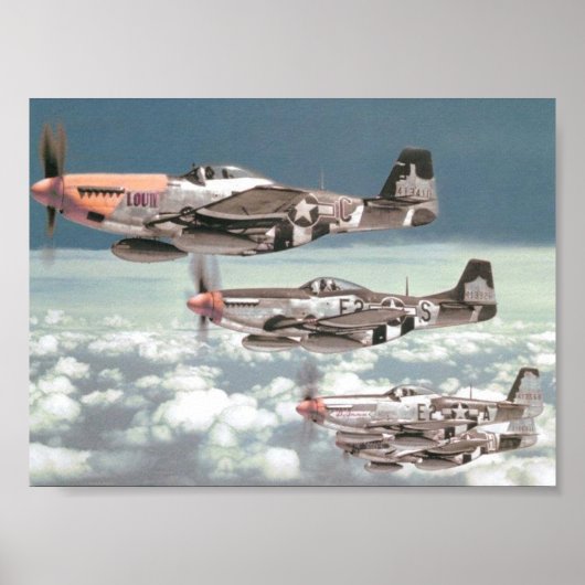 Mustang Patrol ポスター (正面)