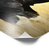 Mustang Stallion「SOX」 フォトプリント (角)