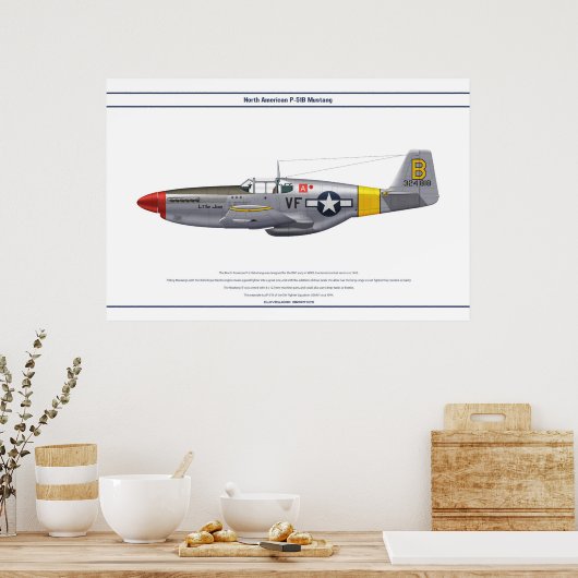 Mustang USA 5FS 1 ポスター (キッチン)