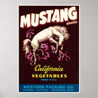 Mustang Wild Horse Guadalupe California Vegetables ポスター