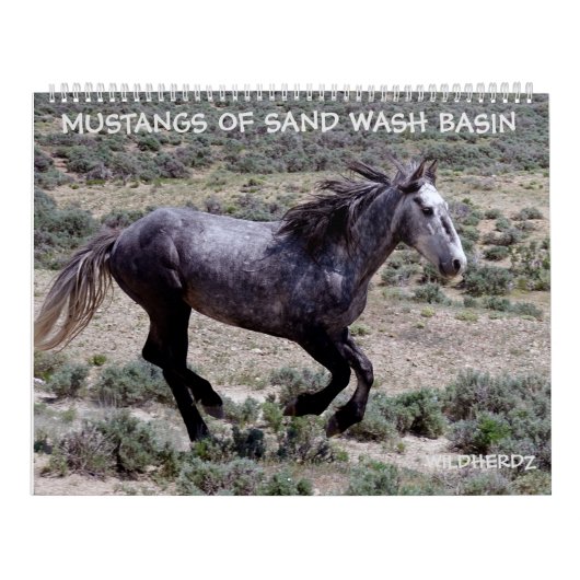 Mustangs of Sand Wash Basin Colorado カレンダー (カバー)
