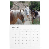 Mustangs of Sand Wash Basin Colorado カレンダー (3月 2027)