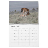 MustangWild 2026 "Wild Babies" Calendar カレンダー (2月 2026)