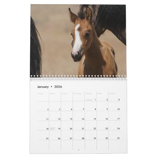 MustangWild 2026 "Wild Babies" Calendar カレンダー (1月 2026)