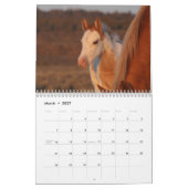 MustangWild 2026 "Wild Babies" Calendar カレンダー (3月 2027)
