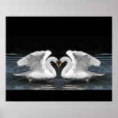 Mute White Swan Photo Mirror Image Effect ポスター (正面)