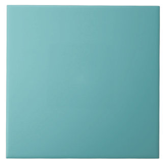 Muted Aqua Ceramic Tile タイル