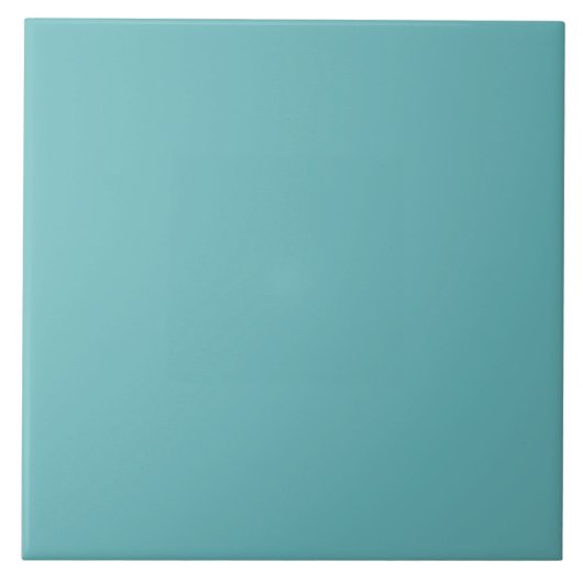 Muted Aqua Ceramic Tile タイル (正面)