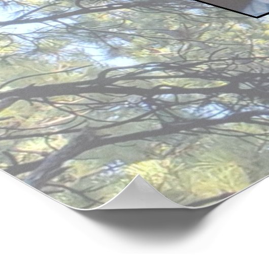 Muted Pine Tree Forest Photo with Two Family Trees ポスター (角)