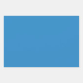 MVBメキシコプライド1デザインセット2 ラッピングペーパーシート (正面2)