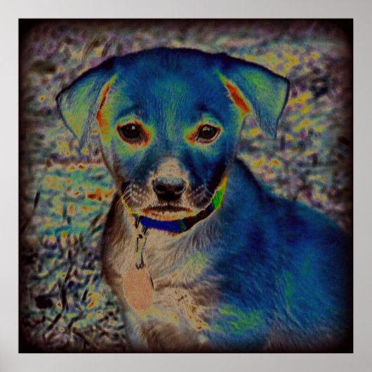 MVBラブラドールポスター – サイケデリックデザイン ポスター (正面)