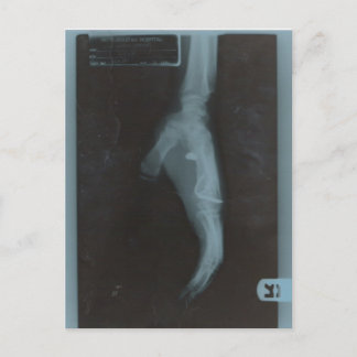 MY22行頭文字 ポストカード