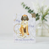 My Afghan Hound 食べ My Lesson Plan ポストカード (スタンド正面)