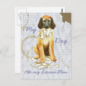 My Afghan Hound 食べ My Lesson Plan ポストカード (正面/裏面)