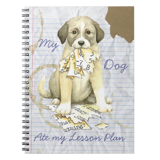 My Anatolian 食べ My Lesson Plan ノートブック (正面)