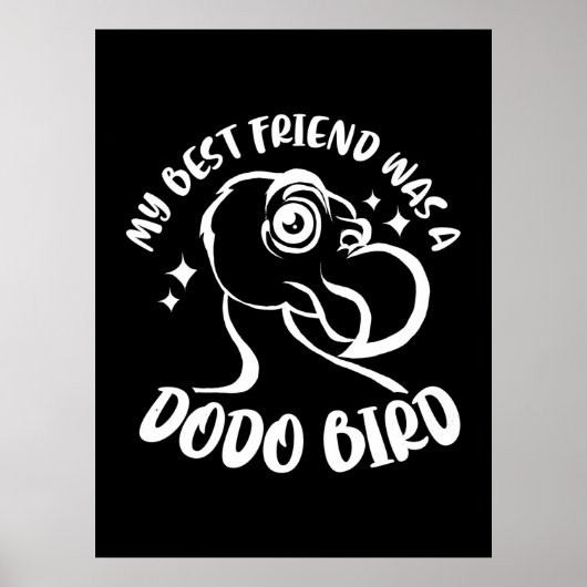 My Best Friend Was A Dodo Bird ポスター (正面)