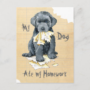 My Bouvier des Flandres 食べ My Homework Postages ポストカード
