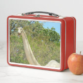 My Brontosaurus Dinosaur メタルランチボックス (インサイチュ)