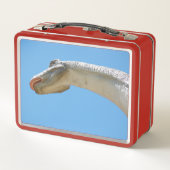My Brontosaurus Dinosaur メタルランチボックス (裏面)