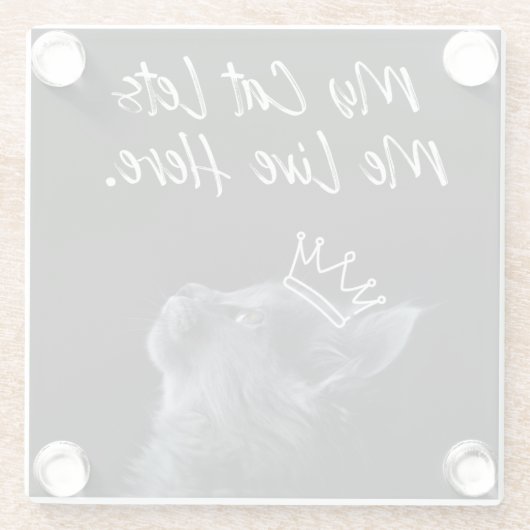 My Cat Lets Me Live Here ガラスコースター (裏面)