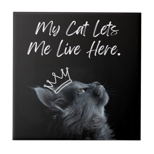 My Cat Lets Me Live Here タイル (正面)